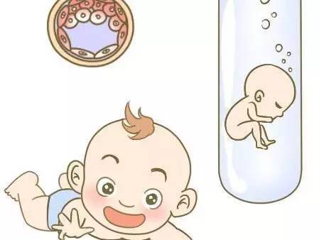 胚胎学家